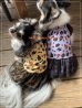 画像4: ハロウィンパーティ