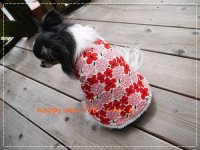 レッドフラワー