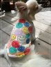 画像1: ニコニコ (1)