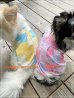 画像2: メッシュ　バンダナ柄 (2)