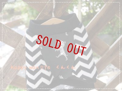 画像2: ミイラくん