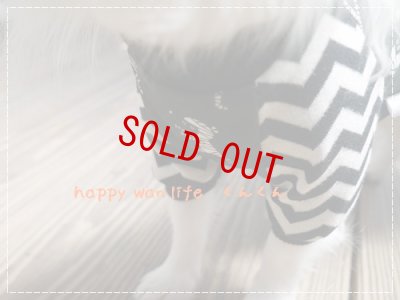 画像4: ミイラくん