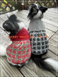 アラン×スノーチェック