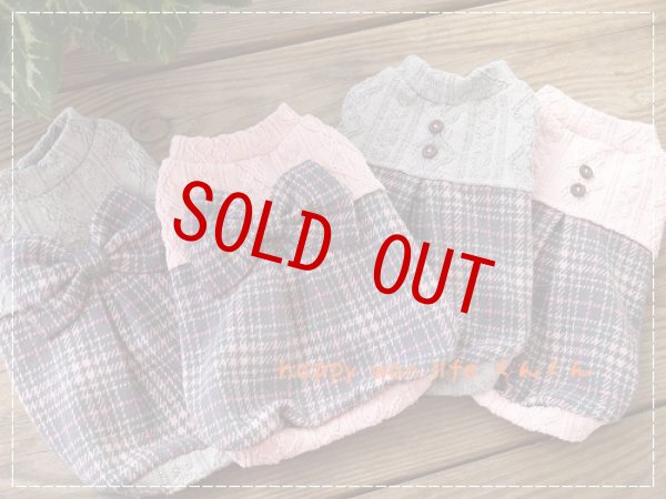 画像6: スコットチェック　　