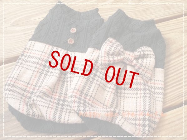 画像5: スコットチェック　　