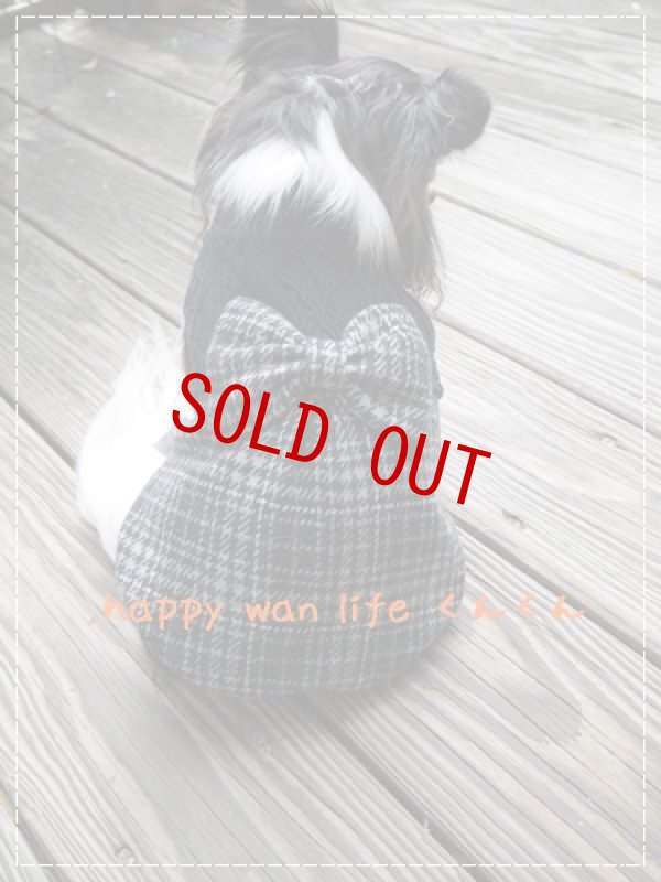 画像2: スコットチェック　　