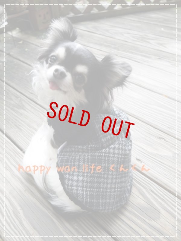 画像3: スコットチェック　　