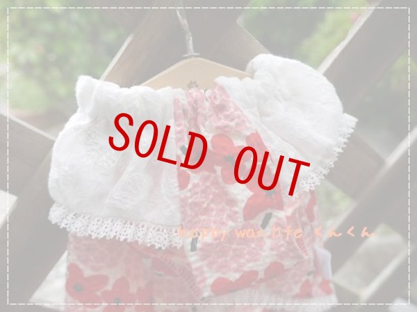 画像4: レッドフラワー