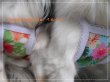 画像5: メッシュ　ハイビスカス＆プルメリア