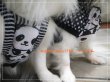 画像3: メッシュ　パンダだらけ
