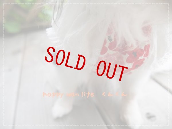 画像3: レッドフラワー