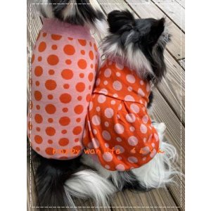 画像: ドット　カラフルボンボン　