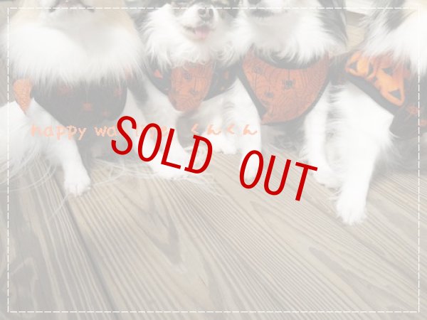 画像8: ハロウィン　2025