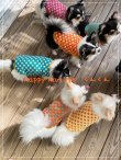 画像4: ドットドット