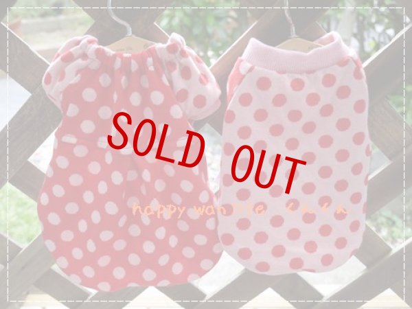 画像1: ドット　レッド/ピンク