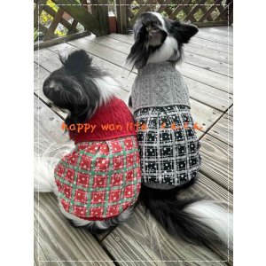 画像: アラン×スノーチェック