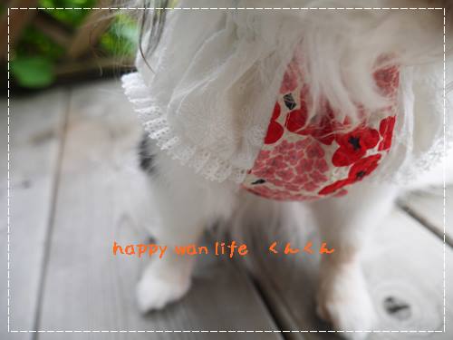 画像3: レッドフラワー