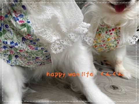 画像3: ぽこぽこフラワー