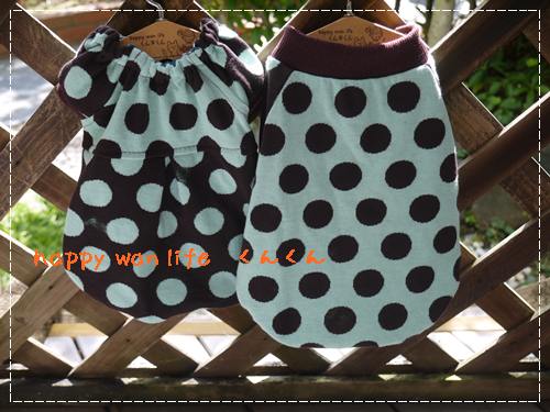 画像1: ドット　チョコミント