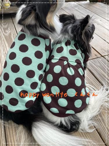 画像2: ドット　チョコミント